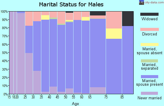 Zip code 78023 marital status for males
