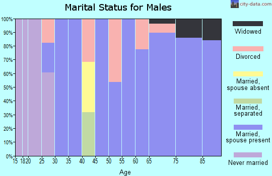Zip code 78024 marital status for males