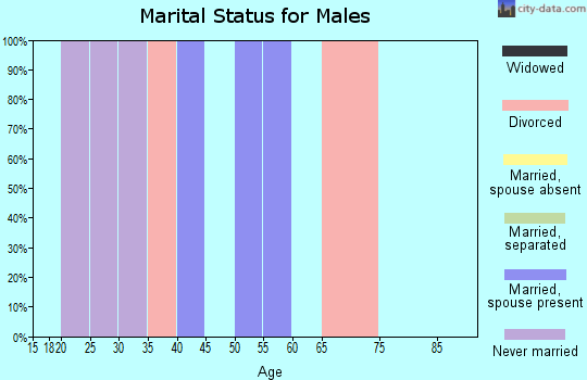 Zip code 78027 marital status for males