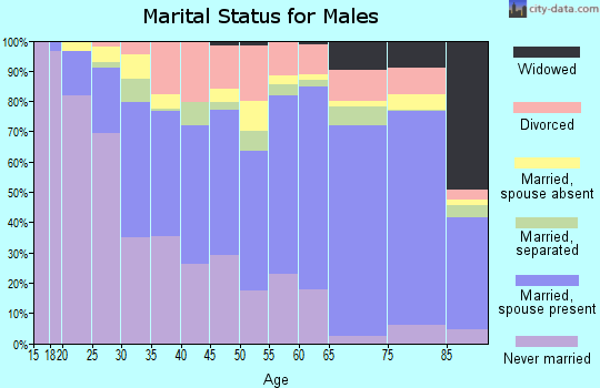 Zip code 78040 marital status for males
