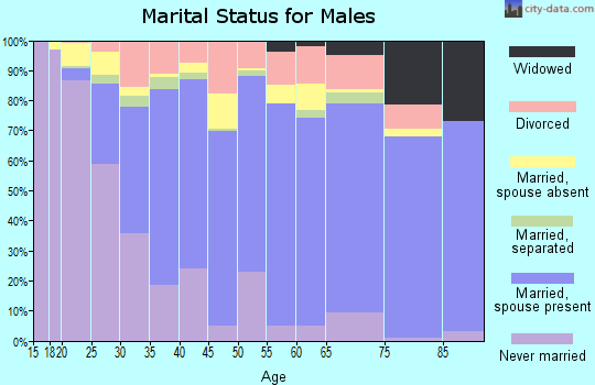 Zip code 78043 marital status for males
