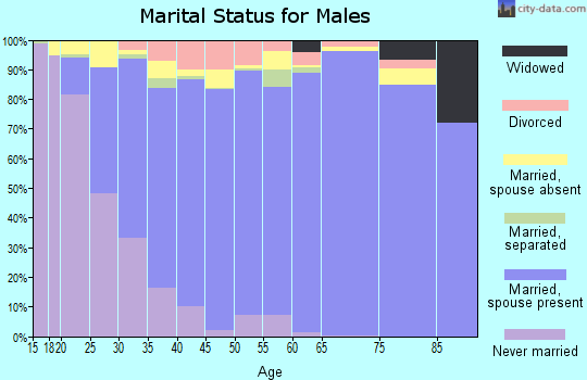 Zip code 78045 marital status for males
