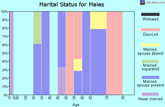 Zip code 78050 marital status for males