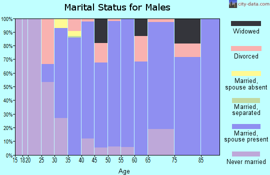 Zip code 78052 marital status for males