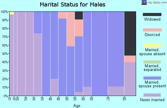 Zip code 78055 marital status for males