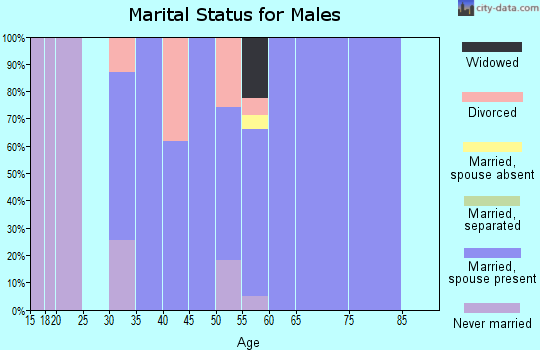 Zip code 78056 marital status for males