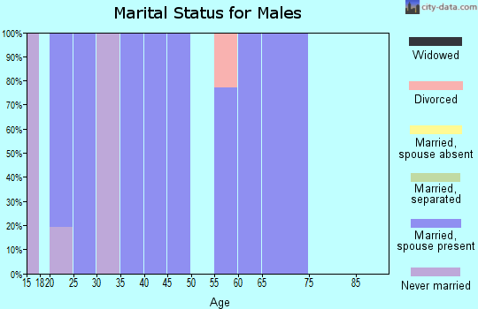 Zip code 78057 marital status for males