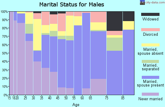 Zip code 78061 marital status for males
