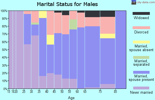Zip code 78063 marital status for males