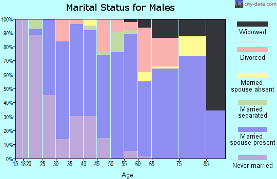 Zip code 78065 marital status for males