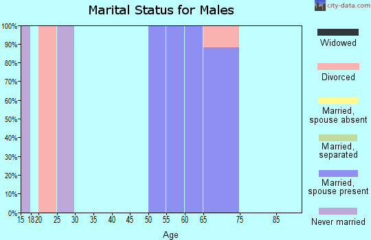 Zip code 78067 marital status for males