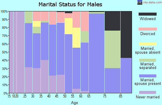Zip code 78069 marital status for males