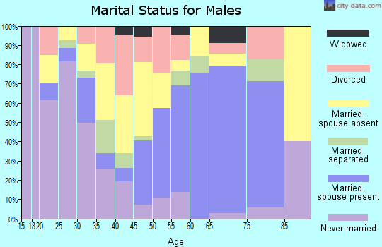 Zip code 78071 marital status for males