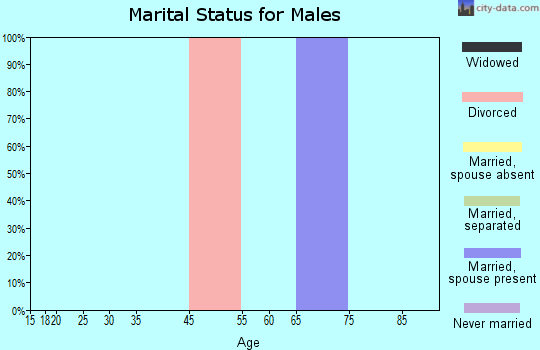 Zip code 78074 marital status for males