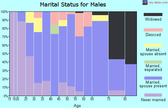 Zip code 78101 marital status for males