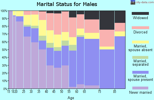 Zip code 78102 marital status for males