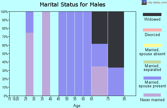 Zip code 78116 marital status for males