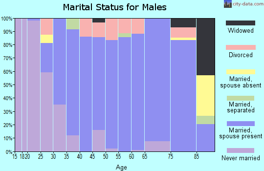 Zip code 78121 marital status for males