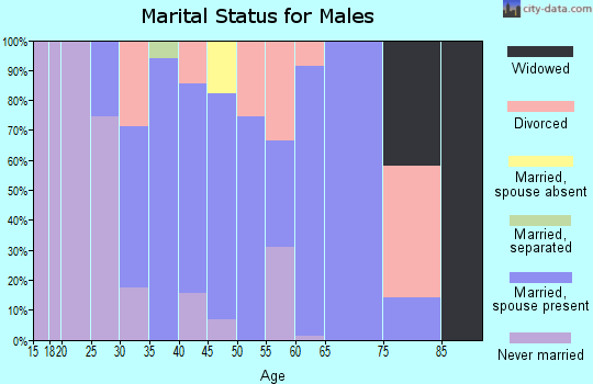 Zip code 78123 marital status for males