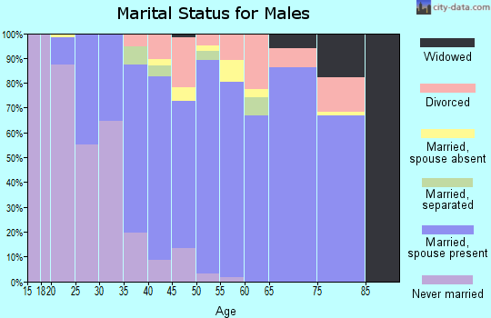 Zip code 78124 marital status for males