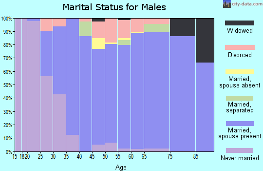 Zip code 78132 marital status for males