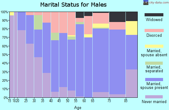 Zip code 78133 marital status for males