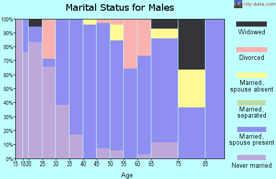 Zip code 78140 marital status for males