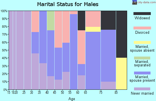 Zip code 78141 marital status for males
