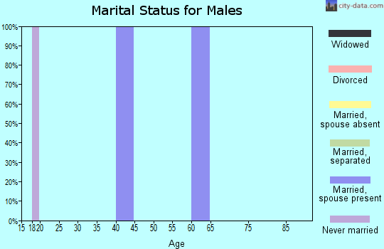 Zip code 78143 marital status for males