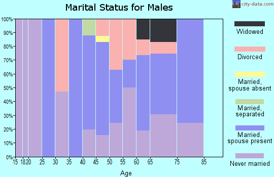 Zip code 78151 marital status for males