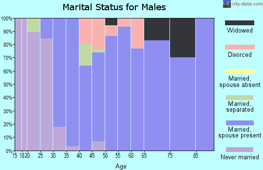 Zip code 78152 marital status for males