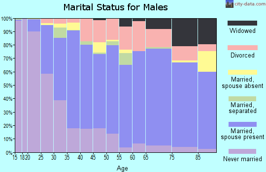 Zip code 78155 marital status for males