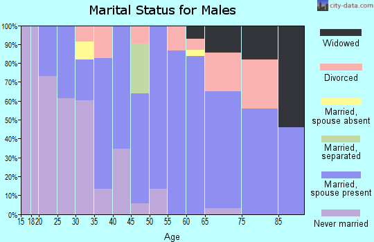 Zip code 78164 marital status for males