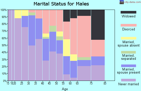 Zip code 78203 marital status for males