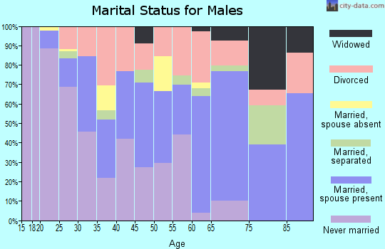 Zip code 78204 marital status for males
