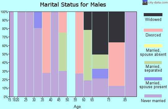 Zip code 78205 marital status for males