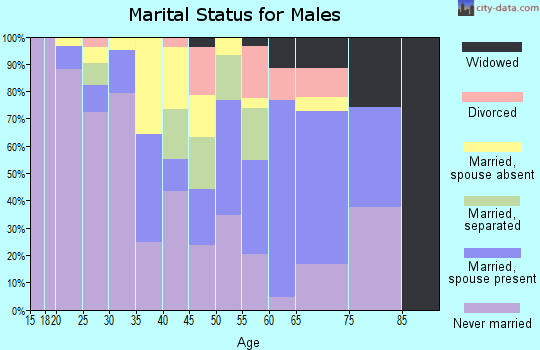 Zip code 78208 marital status for males