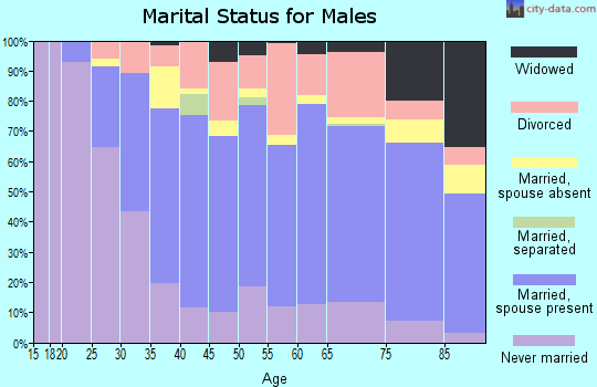 Zip code 78209 marital status for males