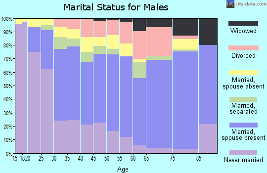 Zip code 78211 marital status for males
