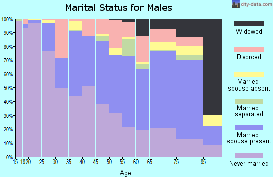 Zip code 78212 marital status for males