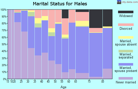 Zip code 78216 marital status for males