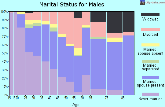 Zip code 78217 marital status for males