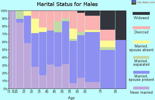 Zip code 78219 marital status for males