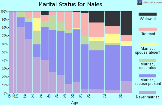 Zip code 78220 marital status for males