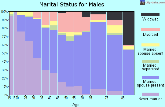 Zip code 78221 marital status for males