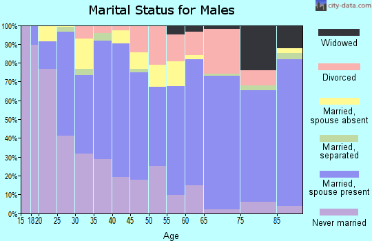 Zip code 78222 marital status for males