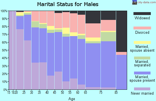 Zip code 78223 marital status for males