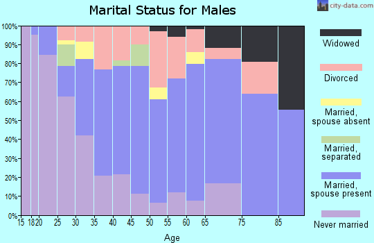 Zip code 78225 marital status for males
