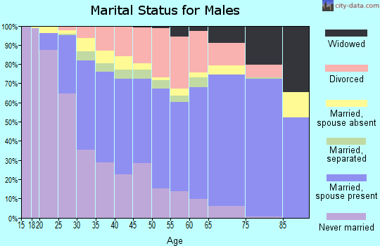 Zip code 78228 marital status for males