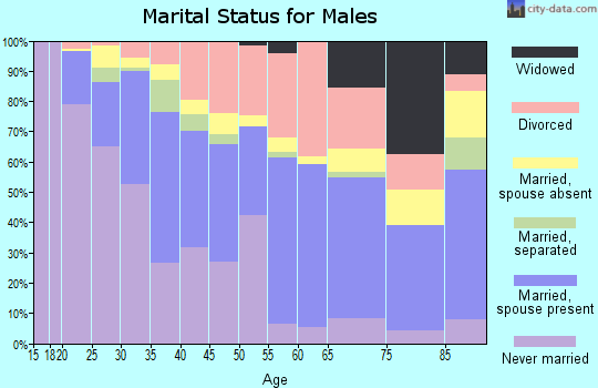 Zip code 78229 marital status for males